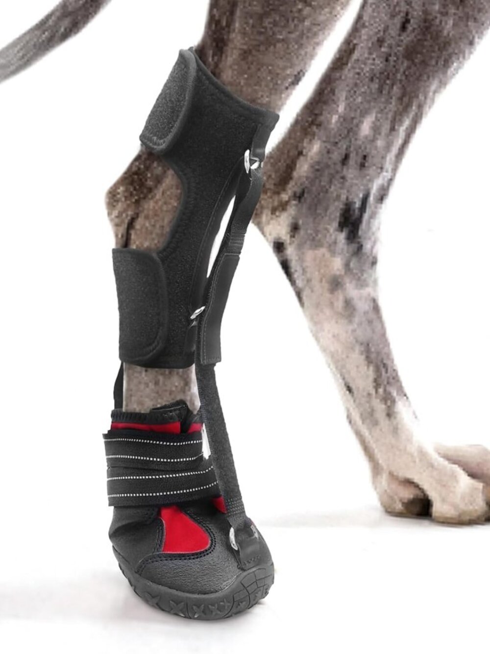 Strap-On Drop Foot Brace (No Knuckling Boot Brace) for Dogs - Picture 1 of 6